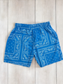 Light Blue Paisley Shorts