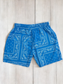 Light Blue Paisley Shorts