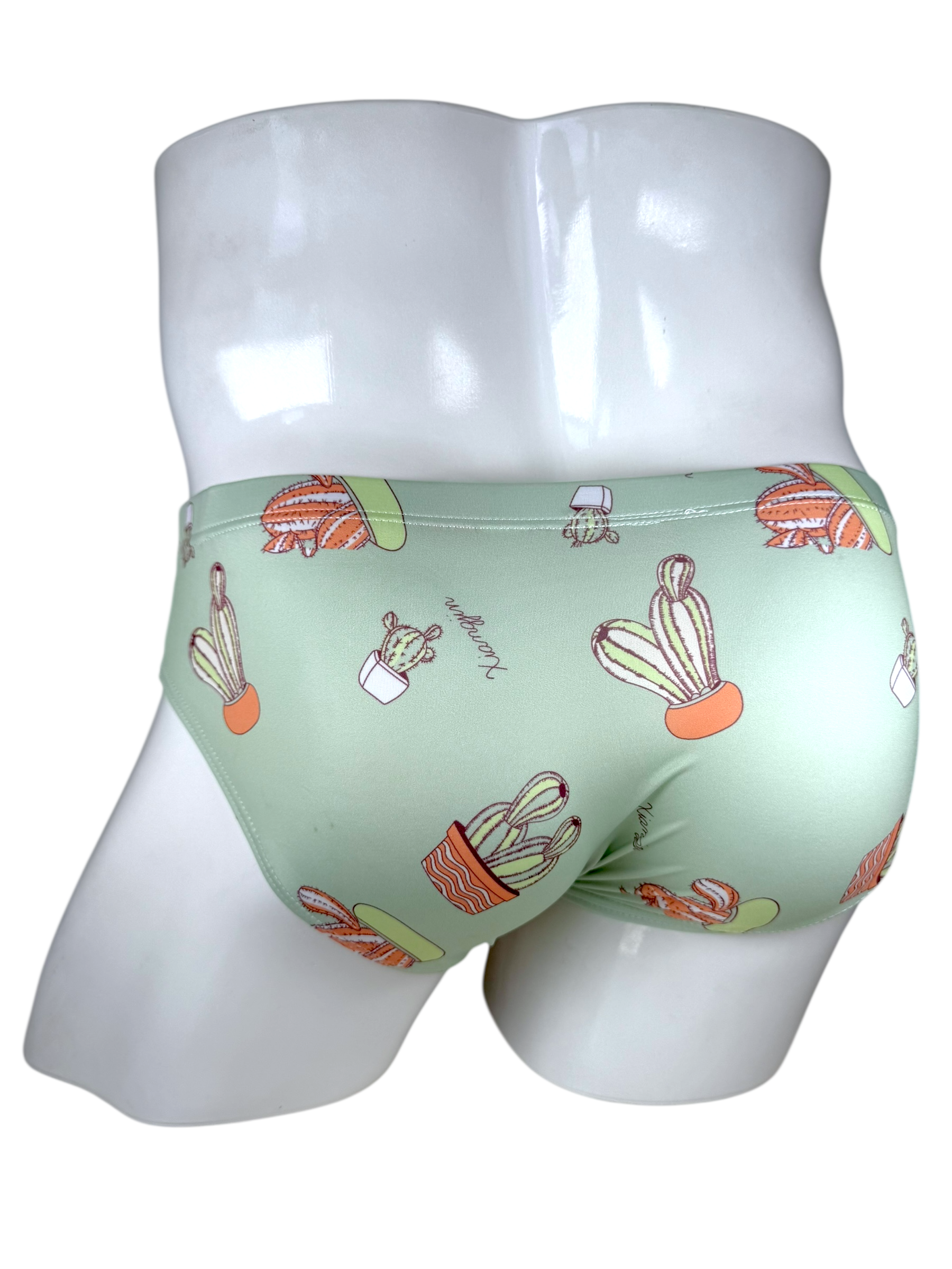 Cactus Swimsuit | MEN SWIMWEAR | LAVISH NY | OUTFAIR | OUTFAIR