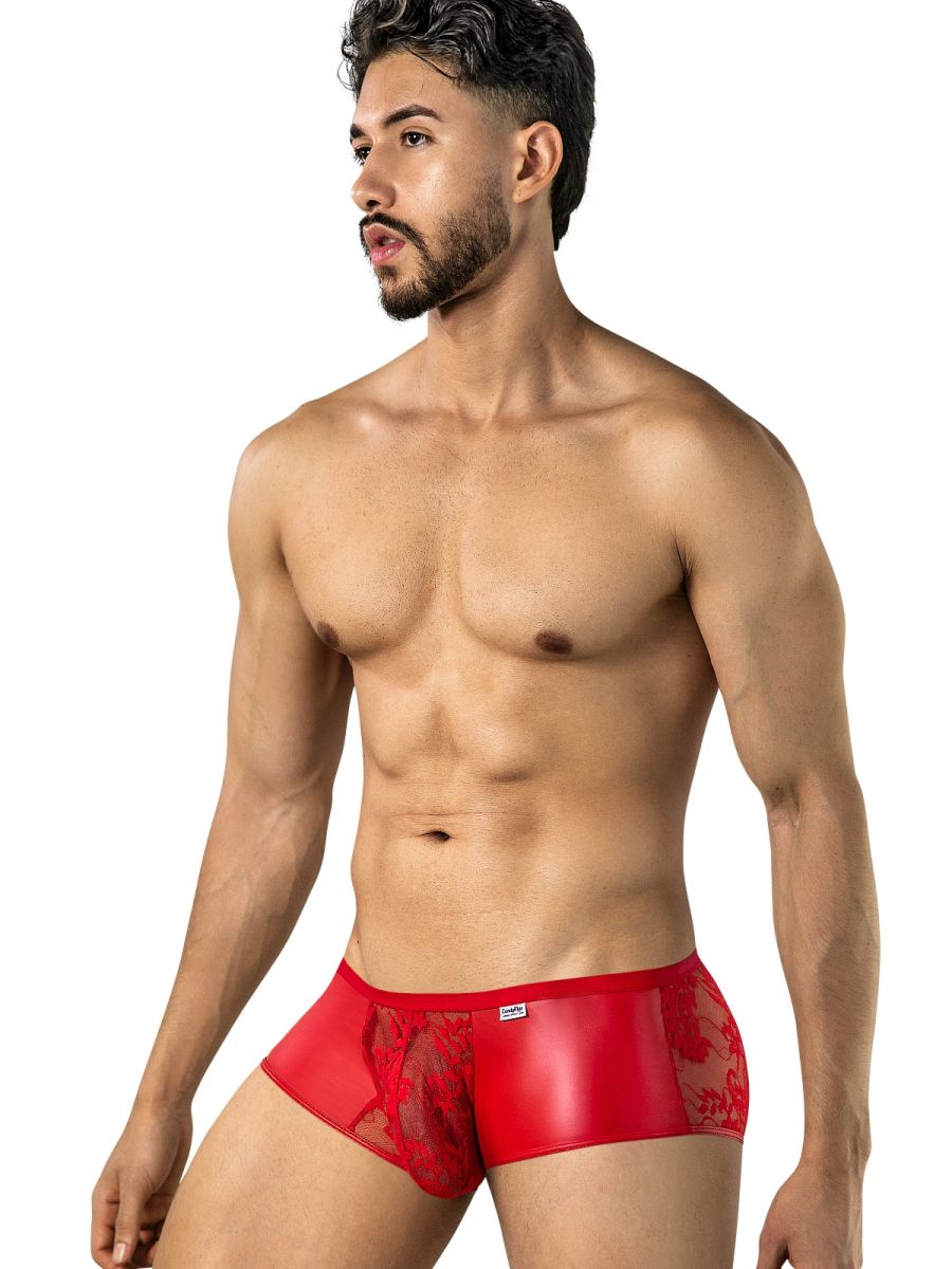 Seductive Red Lace Trunk - view 4