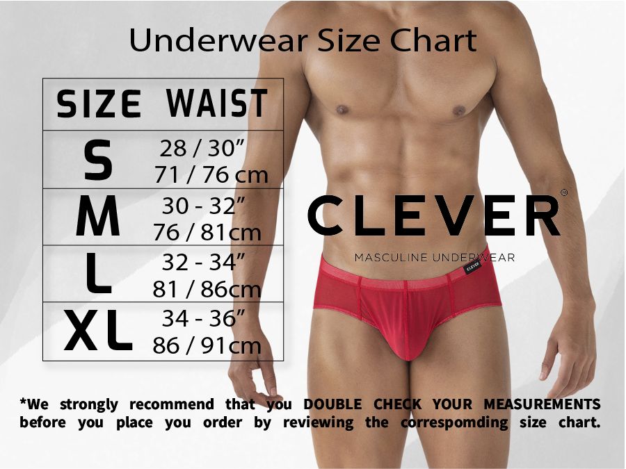 Clever Moda Men's Underwear 2005 Raices Briefs Color Gray