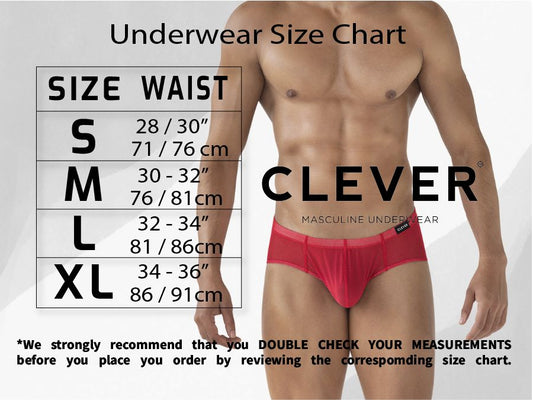 Clever Moda Men's Underwear 1865 Oomph Bikini Color Gray