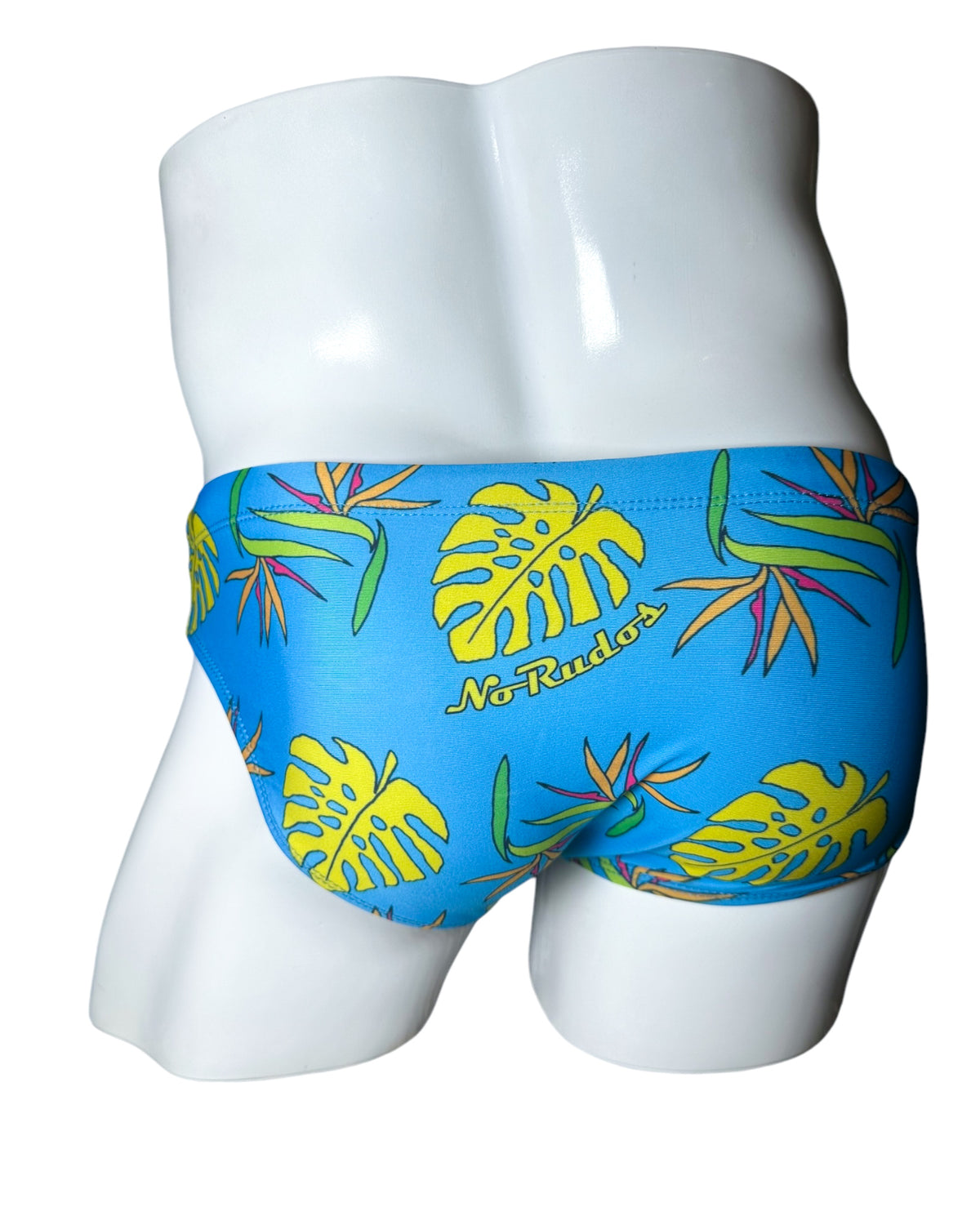 Briefs of Paradise Swim Brief | MEN SWIMWEAR | NO RUDOS | OUTFAIR | OUTFAIR
