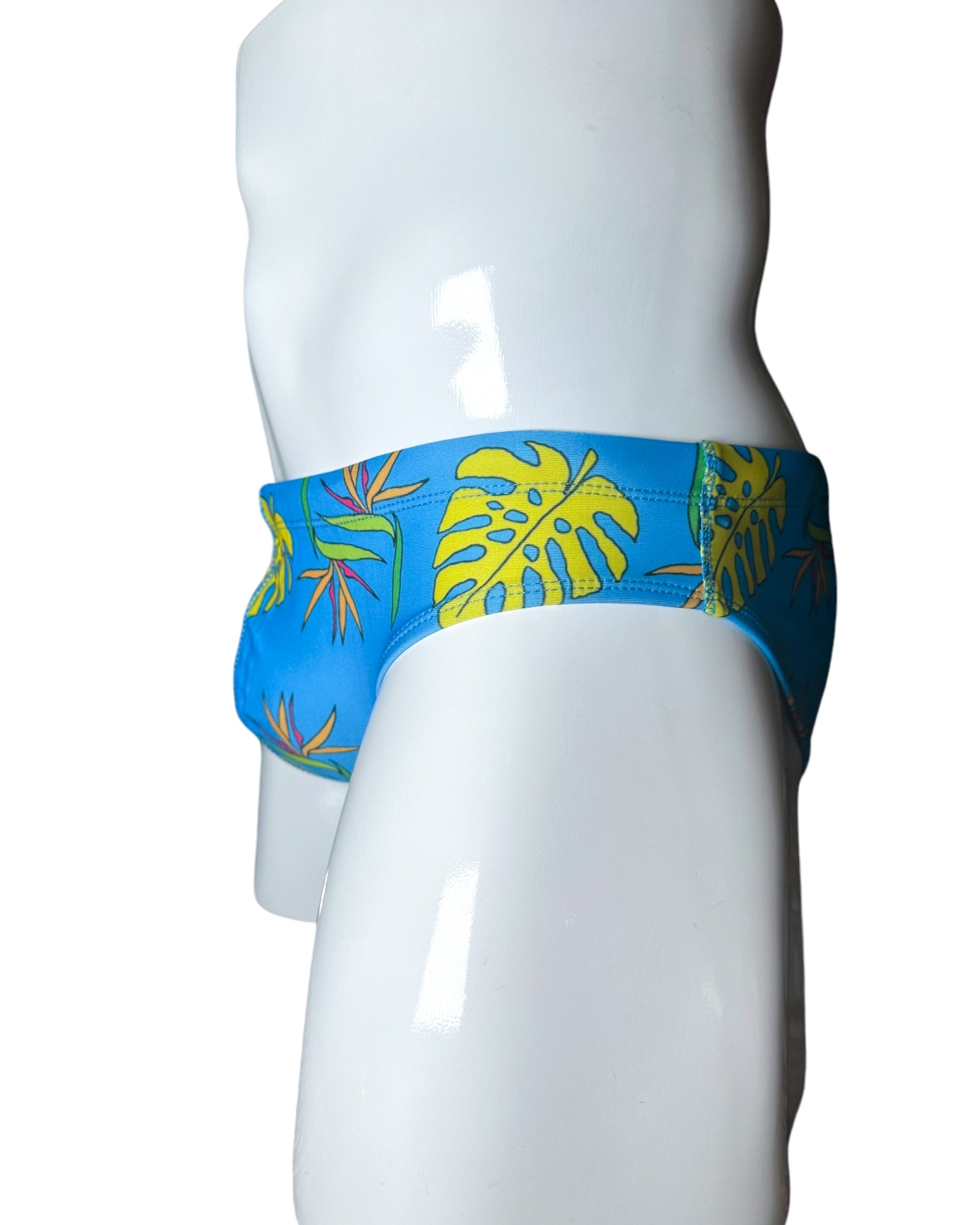Briefs of Paradise Swim Brief | MEN SWIMWEAR | NO RUDOS | OUTFAIR | OUTFAIR