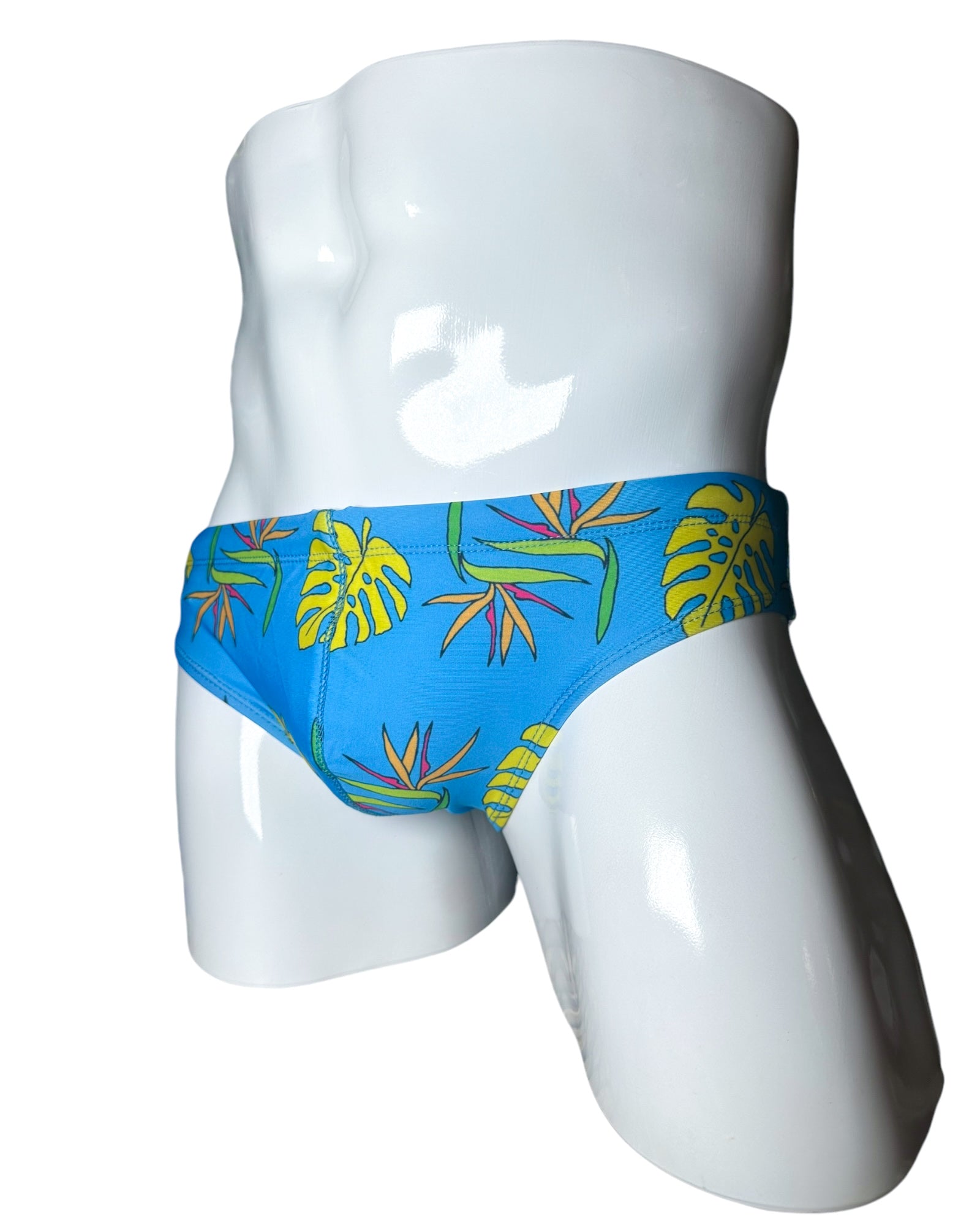 Briefs of Paradise Swim Brief | MEN SWIMWEAR | NO RUDOS | OUTFAIR | OUTFAIR