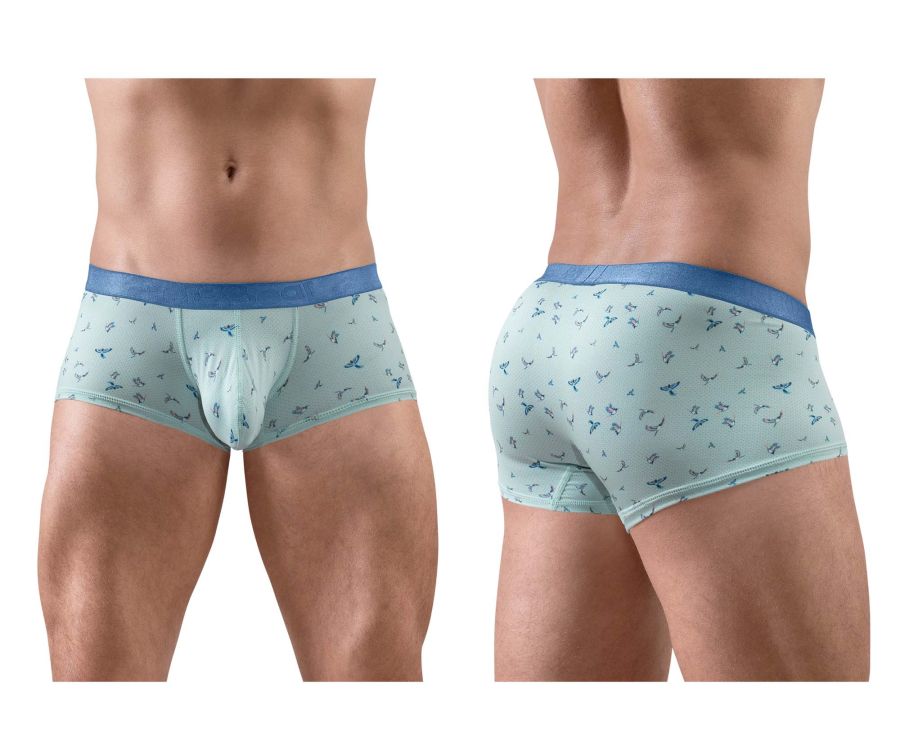 ErgoWear Men's Underwear EW1778 SLK SE Trunks Color Frost-Birds