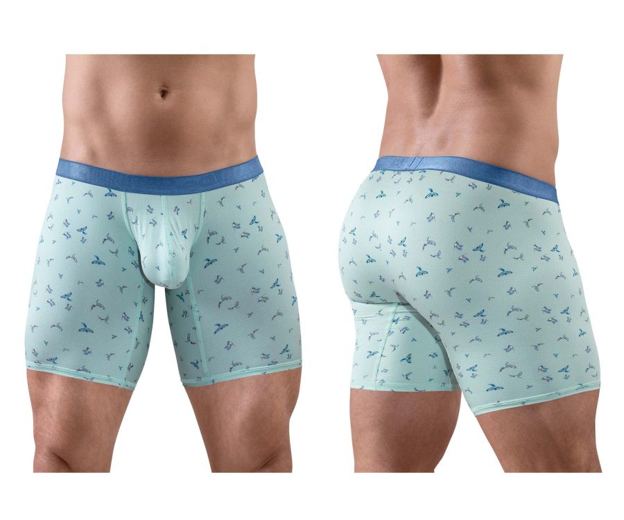 ErgoWear Men's Underwear EW1779 SLK SE Boxer Briefs Color Frost-Birds