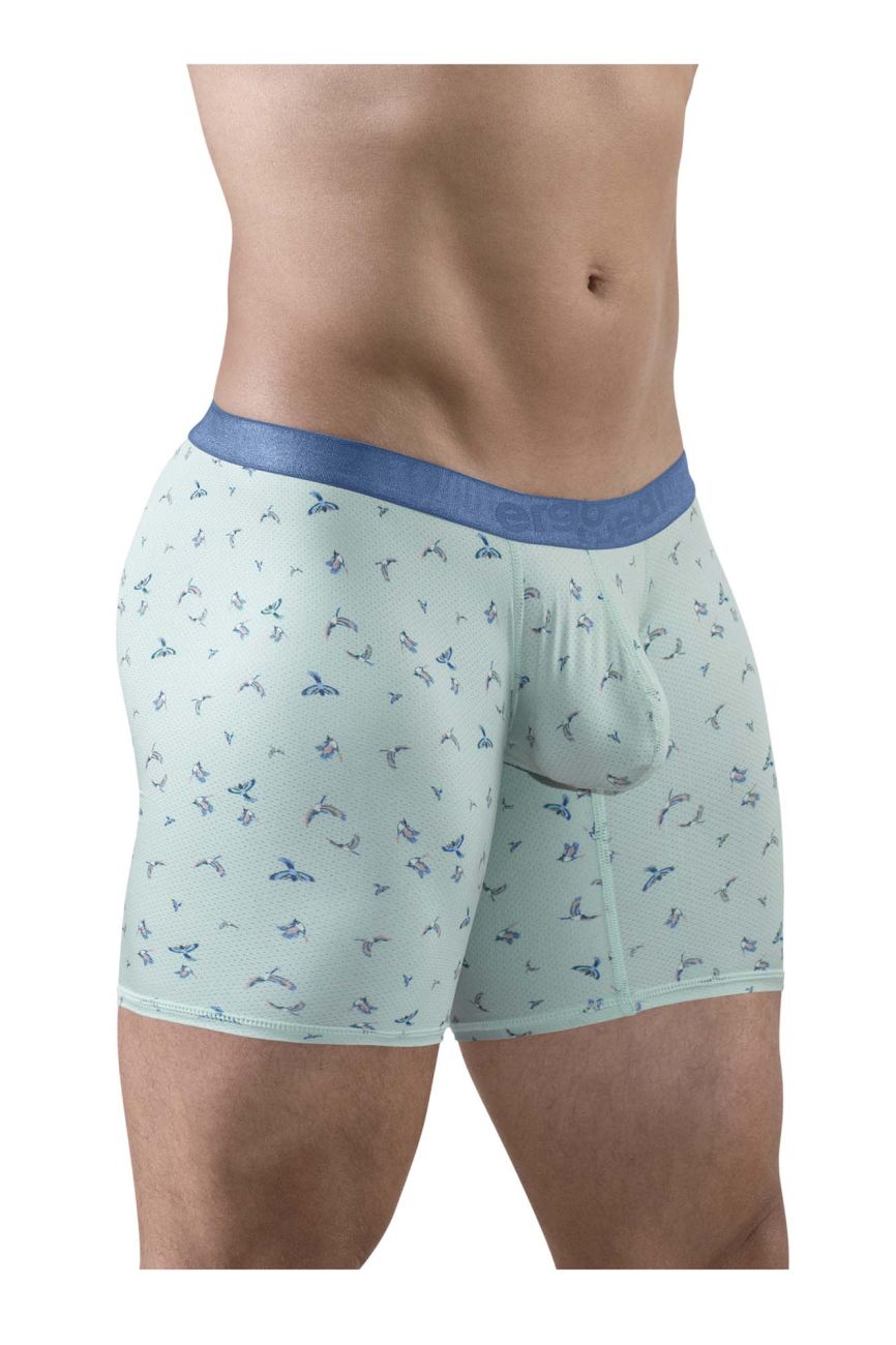 ErgoWear Men's Underwear EW1779 SLK SE Boxer Briefs Color Frost-Birds