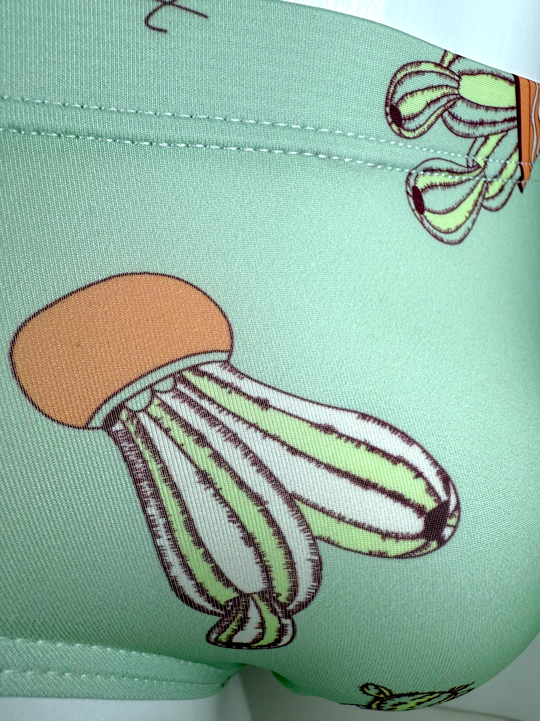 Cactus Swimsuit | MEN SWIMWEAR | LAVISH NY | OUTFAIR | OUTFAIR