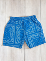 Light Blue Paisley Shorts