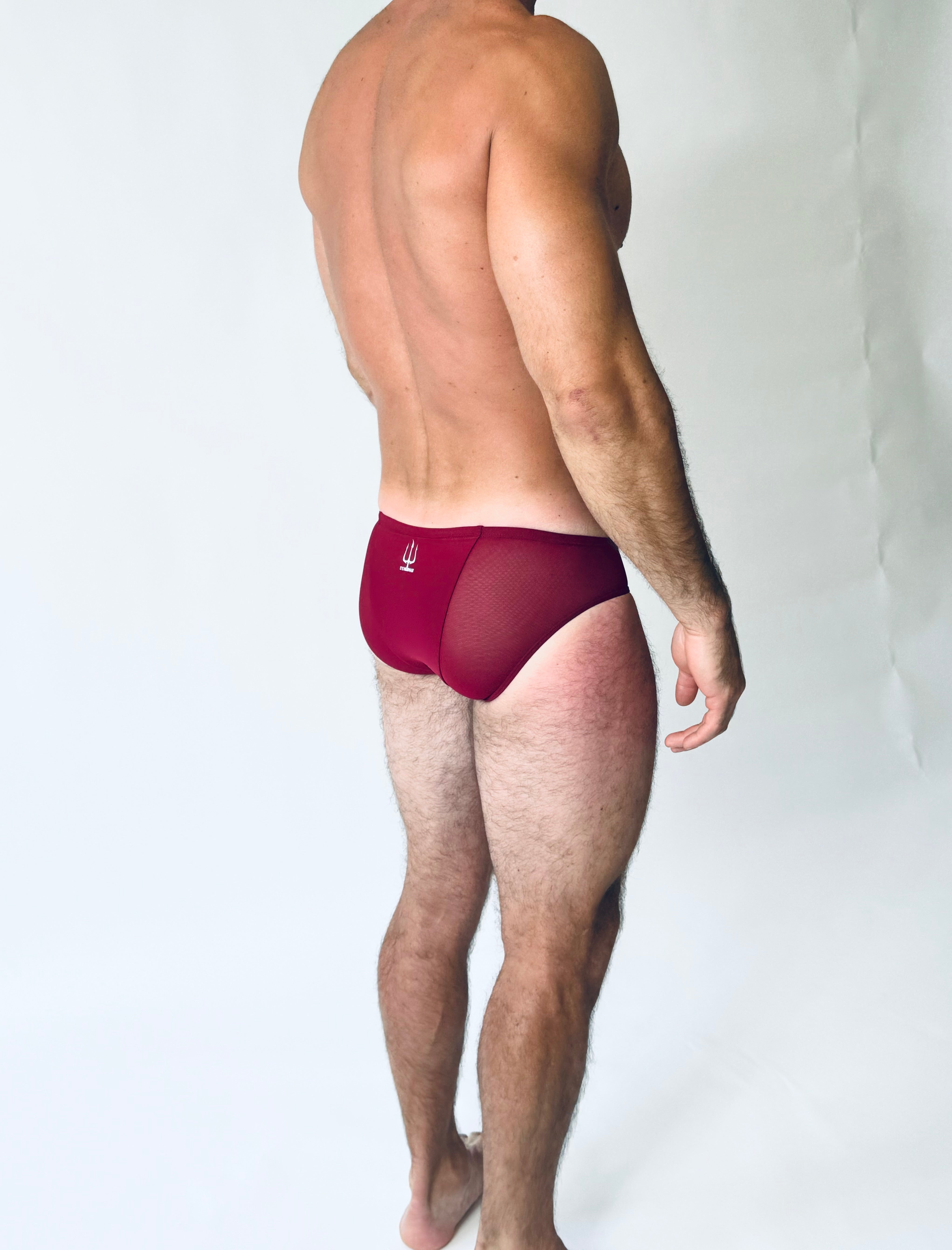 TRIDENT MESH BRIEF