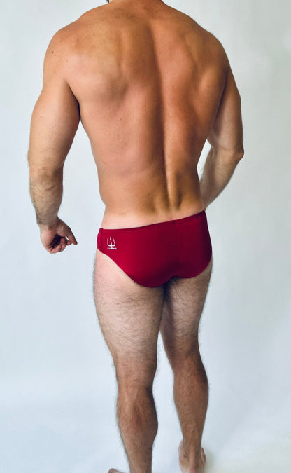 FAST EDDIE SWIM BRIEF - view 25