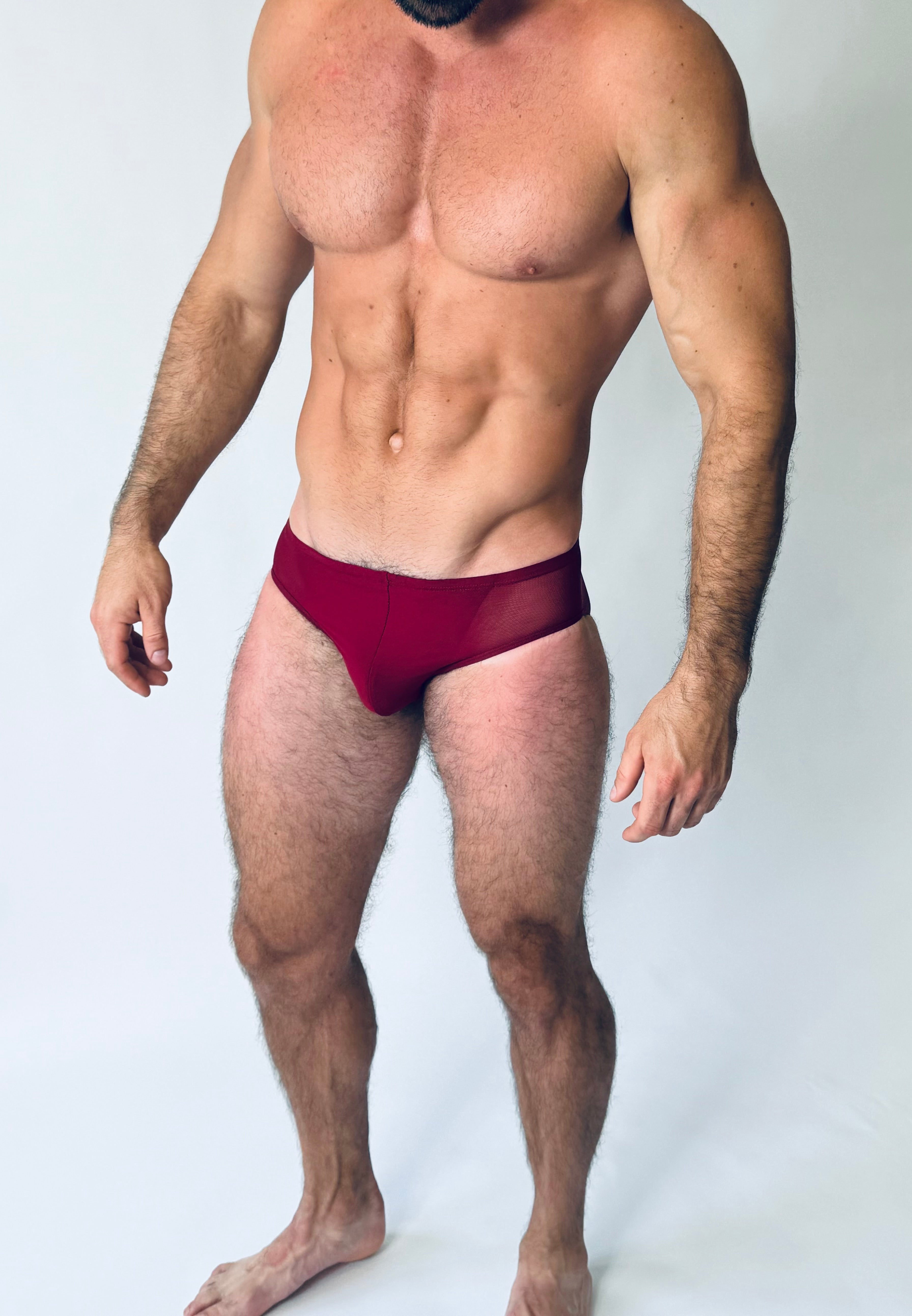 TRIDENT MESH BRIEF