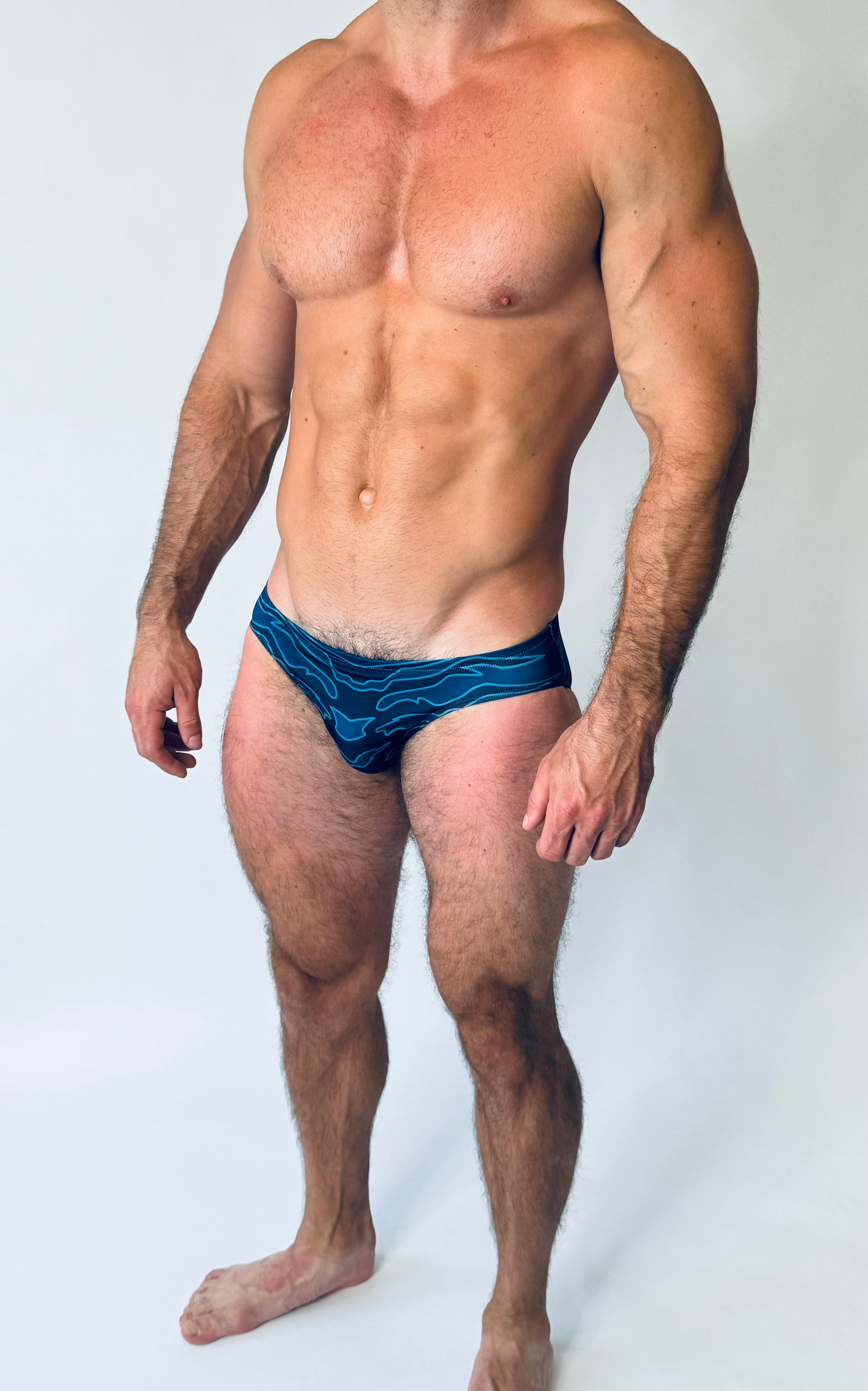 ATLANTIS BRIEF