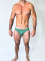 ATLANTIS BRIEF