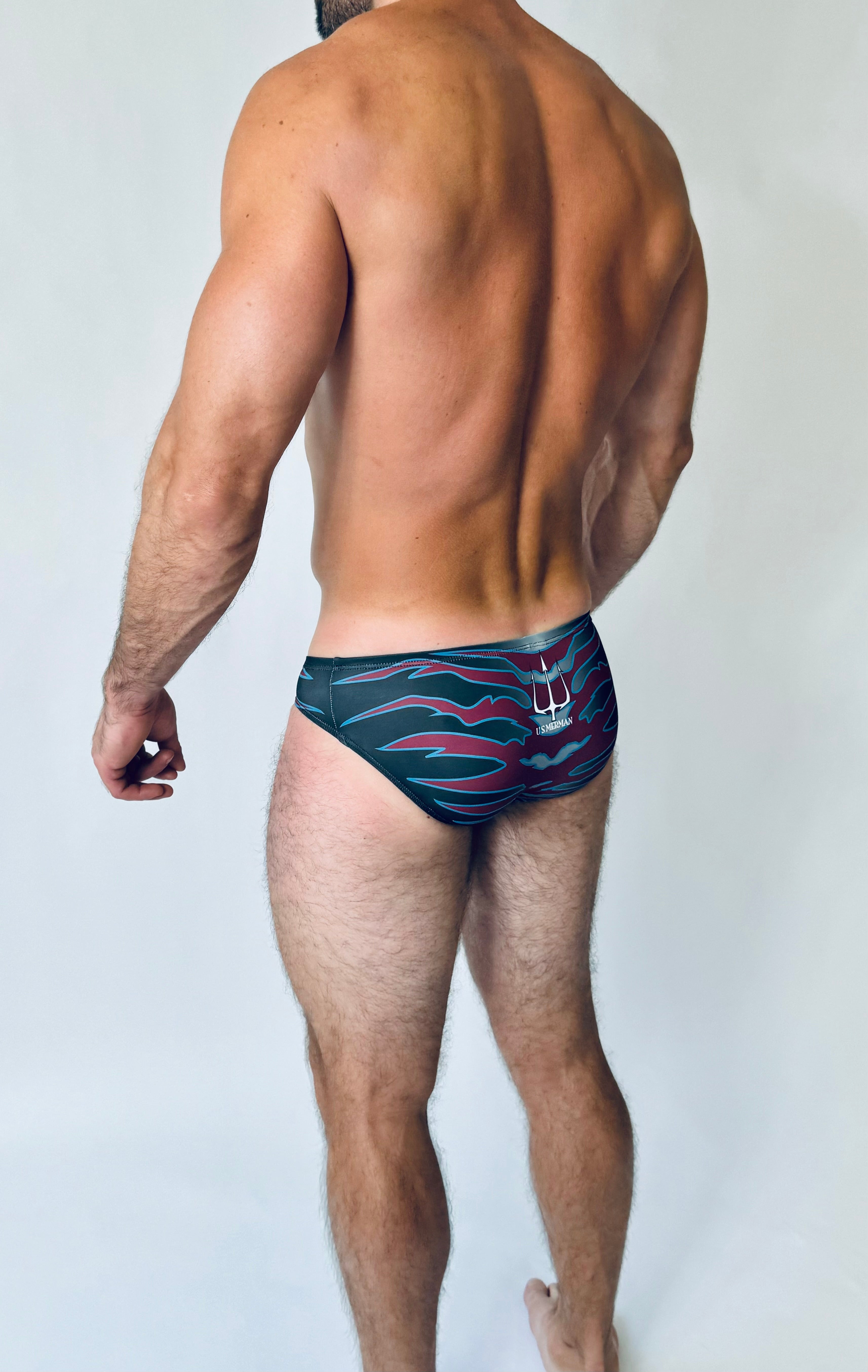 ATLANTIS BRIEF