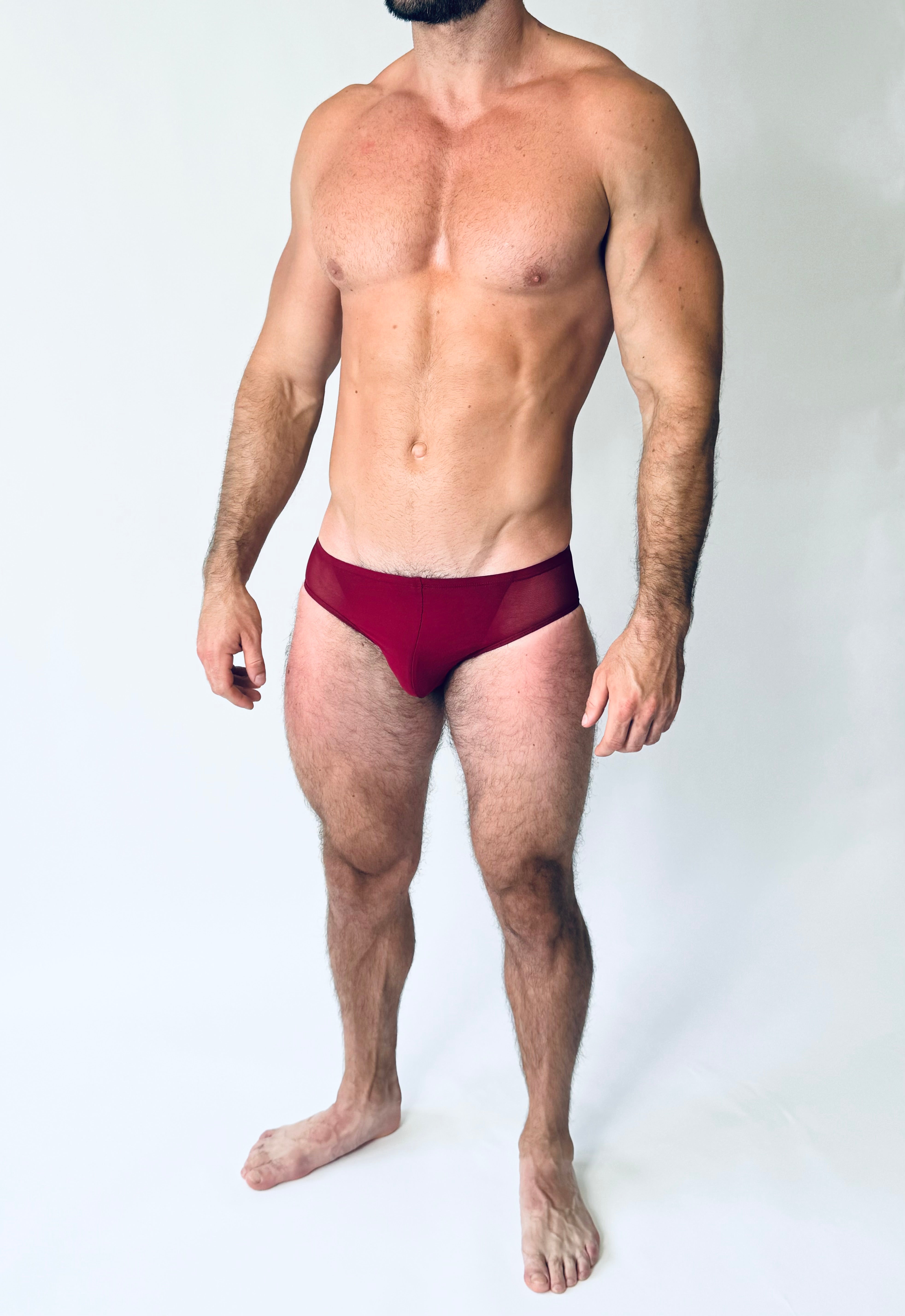 TRIDENT MESH BRIEF