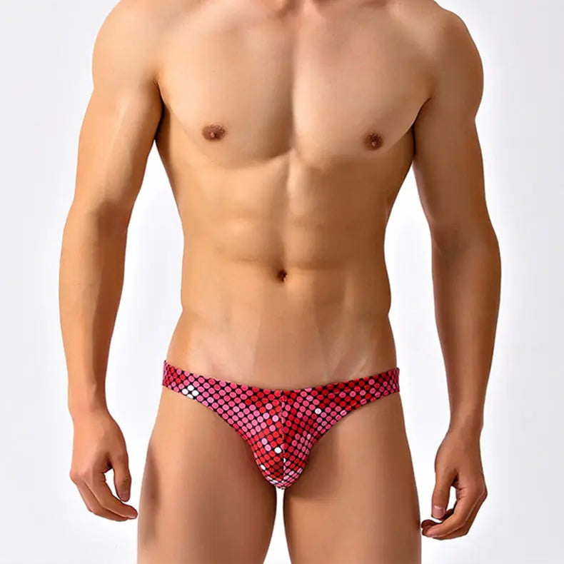 Blue Willow Low Cut Swim Brief