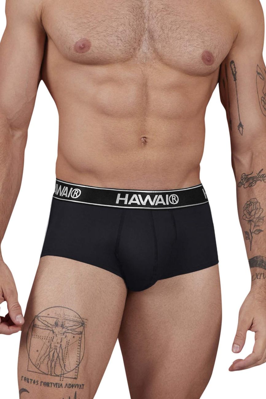 HAWAIR Men's Underwear 41961 Microfiber Briefs Color Black