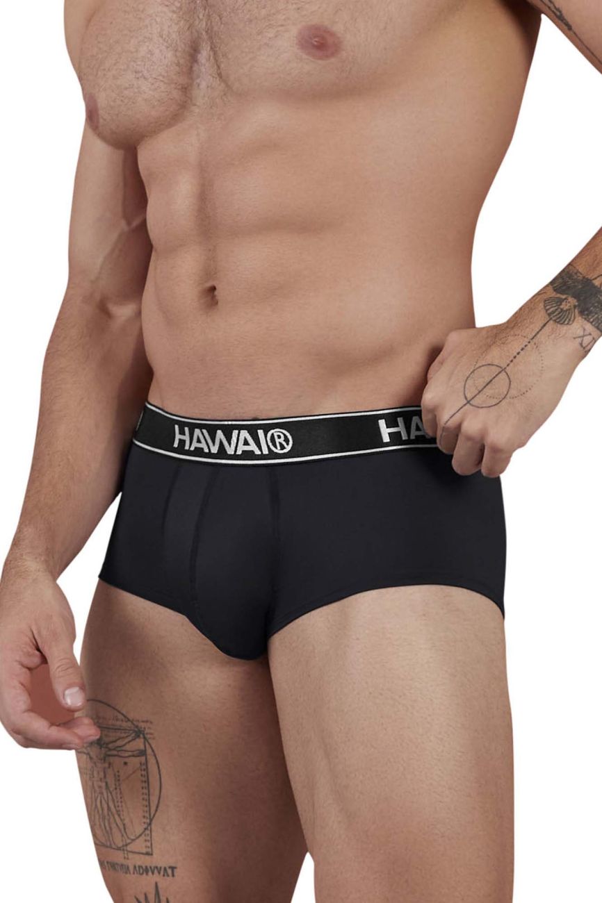 HAWAIR Men's Underwear 41961 Microfiber Briefs Color Black
