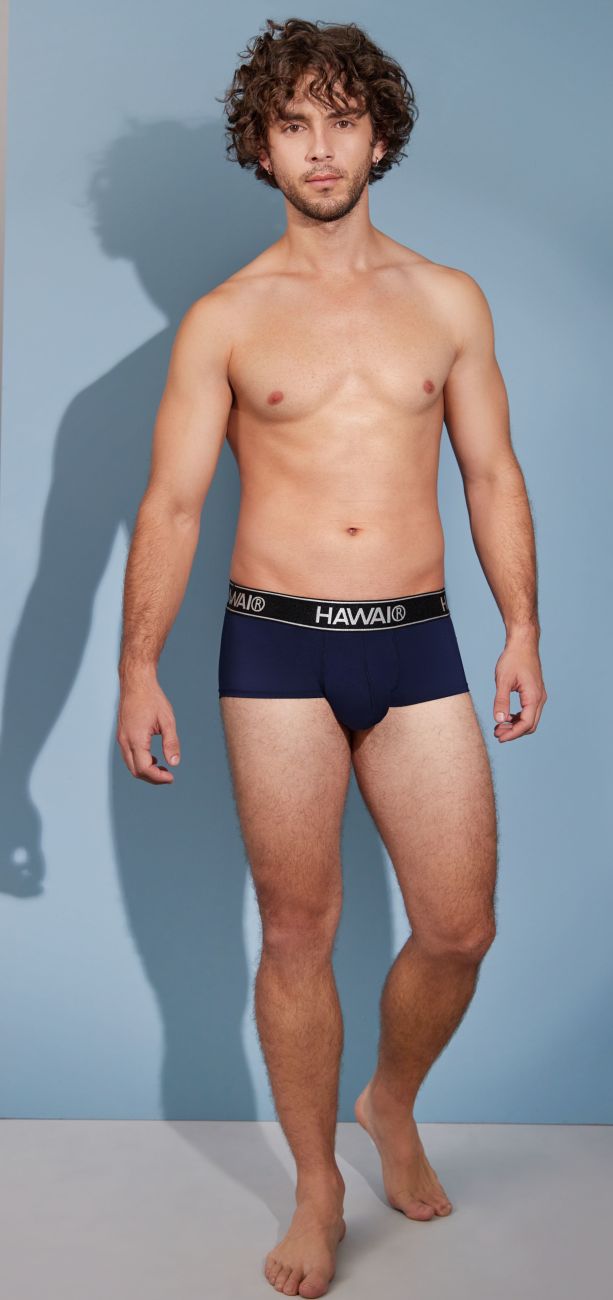 HAWAIR Microfiber Briefs - Dark Blue