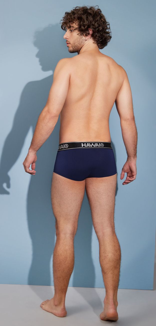 HAWAIR Microfiber Briefs - Dark Blue