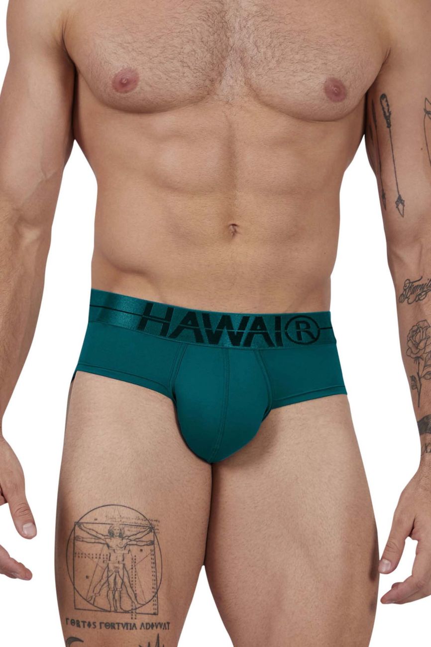 HAWAIR Men's Underwear 41963 Microfiber Briefs Color Green