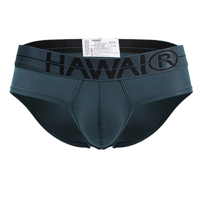 HAWAIR Men's Underwear 41963 Microfiber Briefs Color Green