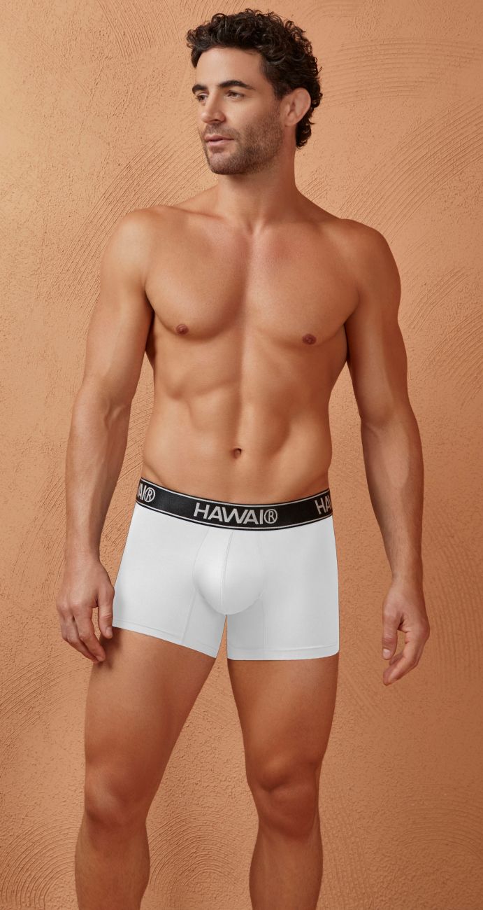HAWAIR Men's Underwear 41977 Microfiber Trunks Color White-01