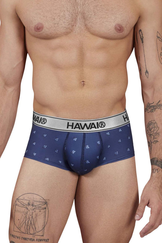 HAWAIR Men's Underwear 42480 Printed Microfiber Briefs Color Blue