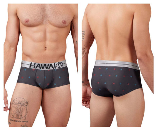 HAWAIR Men's Underwear 42530 Printed Microfiber Briefs Color Gray