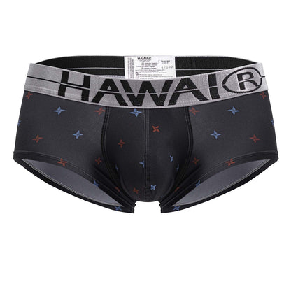 HAWAIR Men's Underwear 42530 Printed Microfiber Briefs Color Gray
