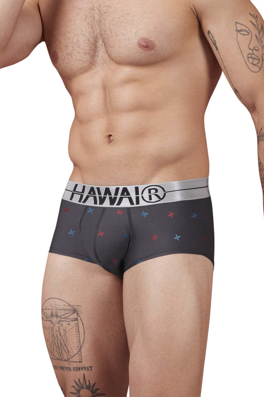 HAWAIR Men's Underwear 42530 Printed Microfiber Briefs Color Gray