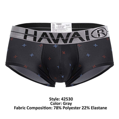 HAWAIR Men's Underwear 42530 Printed Microfiber Briefs Color Gray