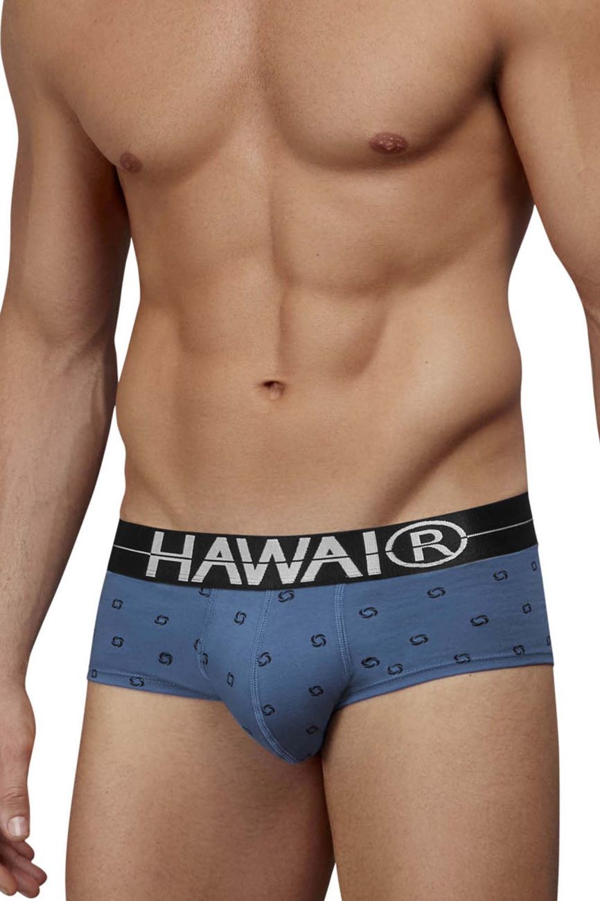 HAWAIR Men's Underwear 42531 Cotton blend Briefs Color Blue Quartz