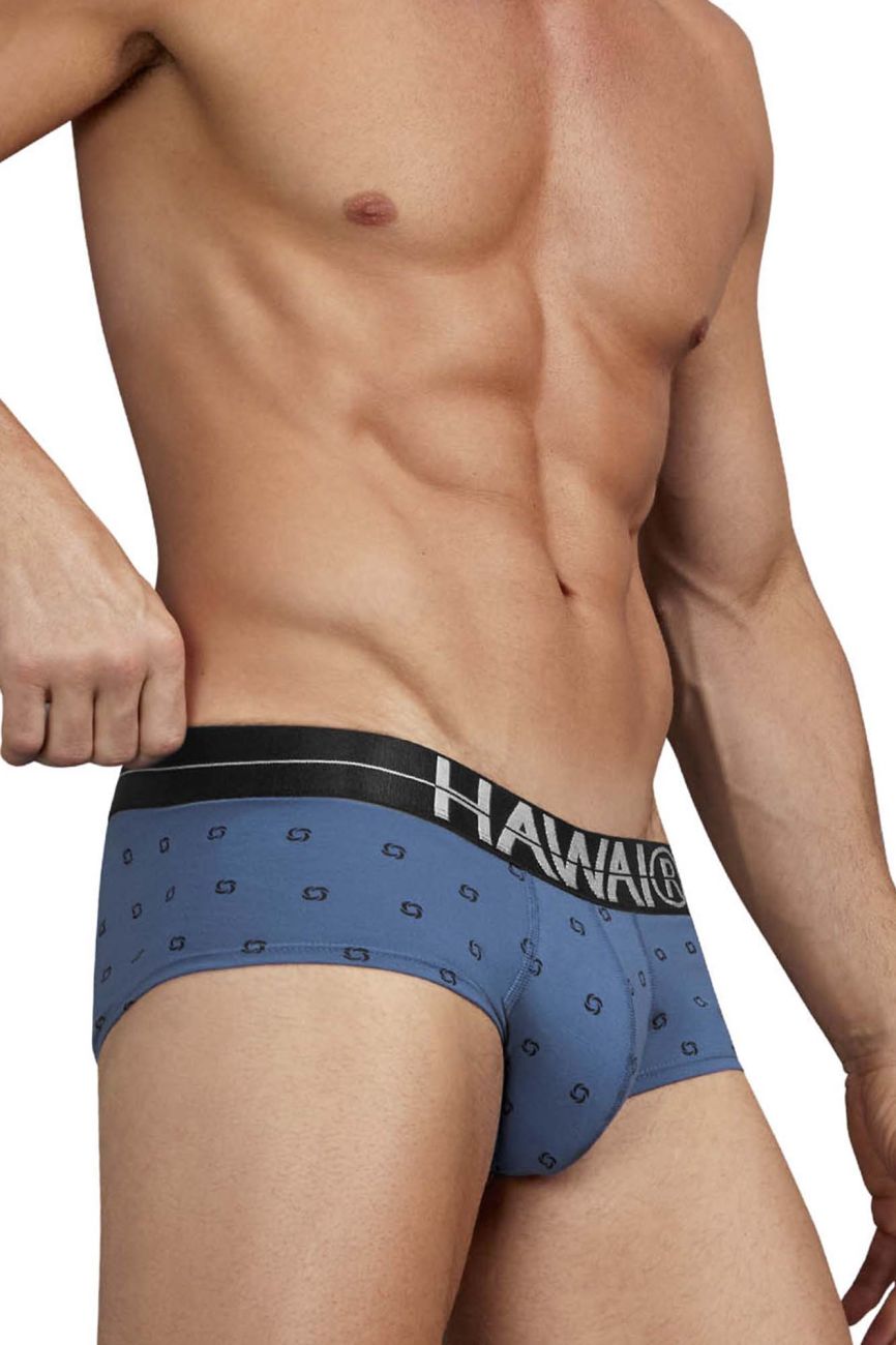 HAWAIR Men's Underwear 42531 Cotton blend Briefs Color Blue Quartz
