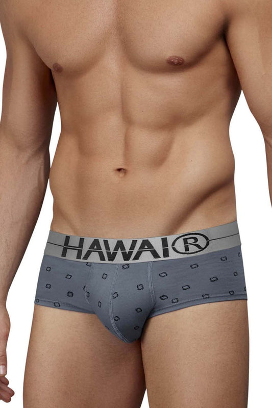 HAWAIR Men's Underwear 42531 Cotton blend Briefs Color Gray