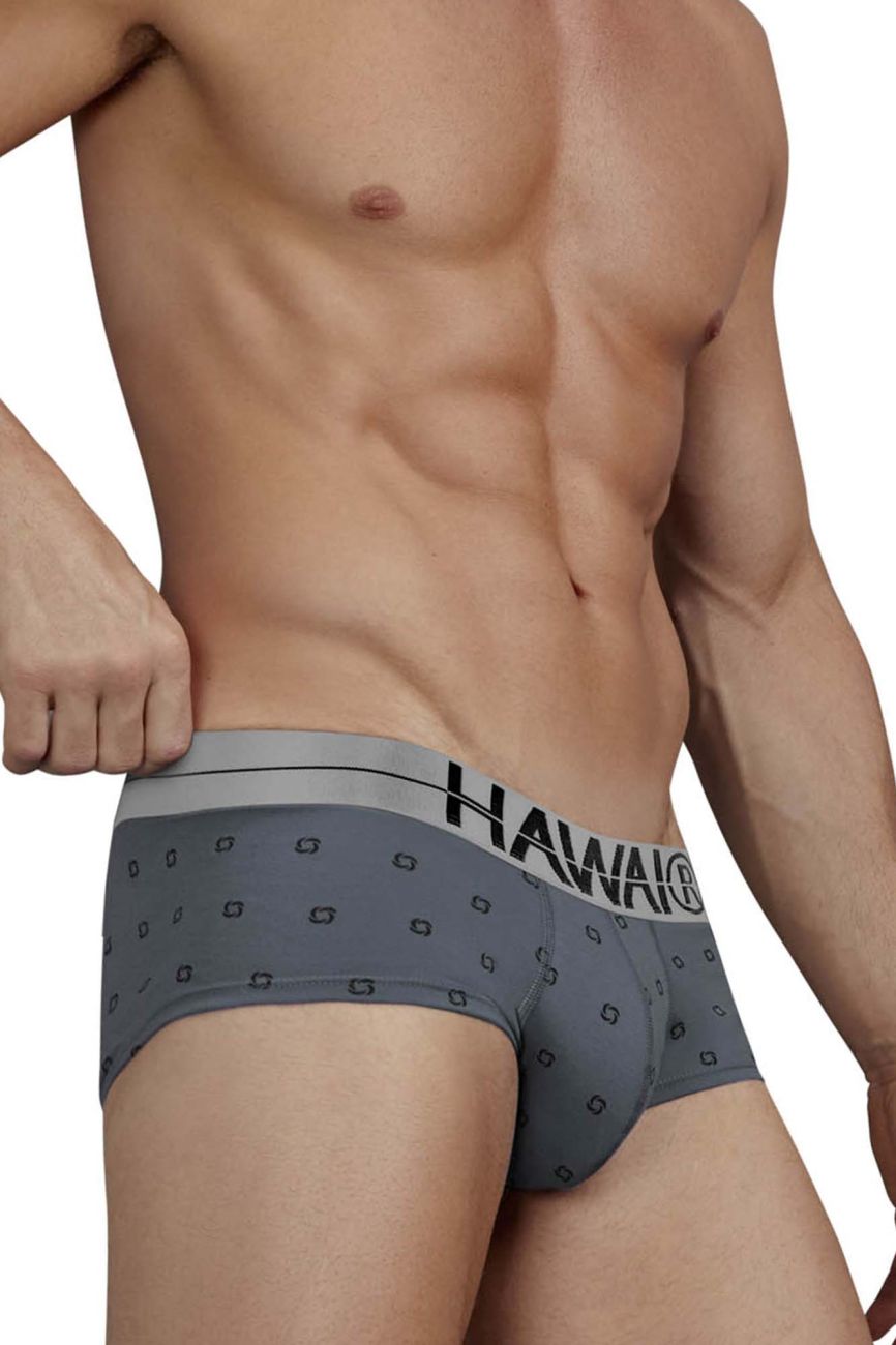 HAWAIR Men's Underwear 42531 Cotton blend Briefs Color Gray