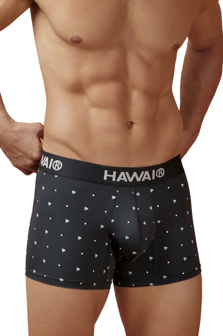 HAWAIR Men's Underwear 42570 Microfiber Trunks Color Black