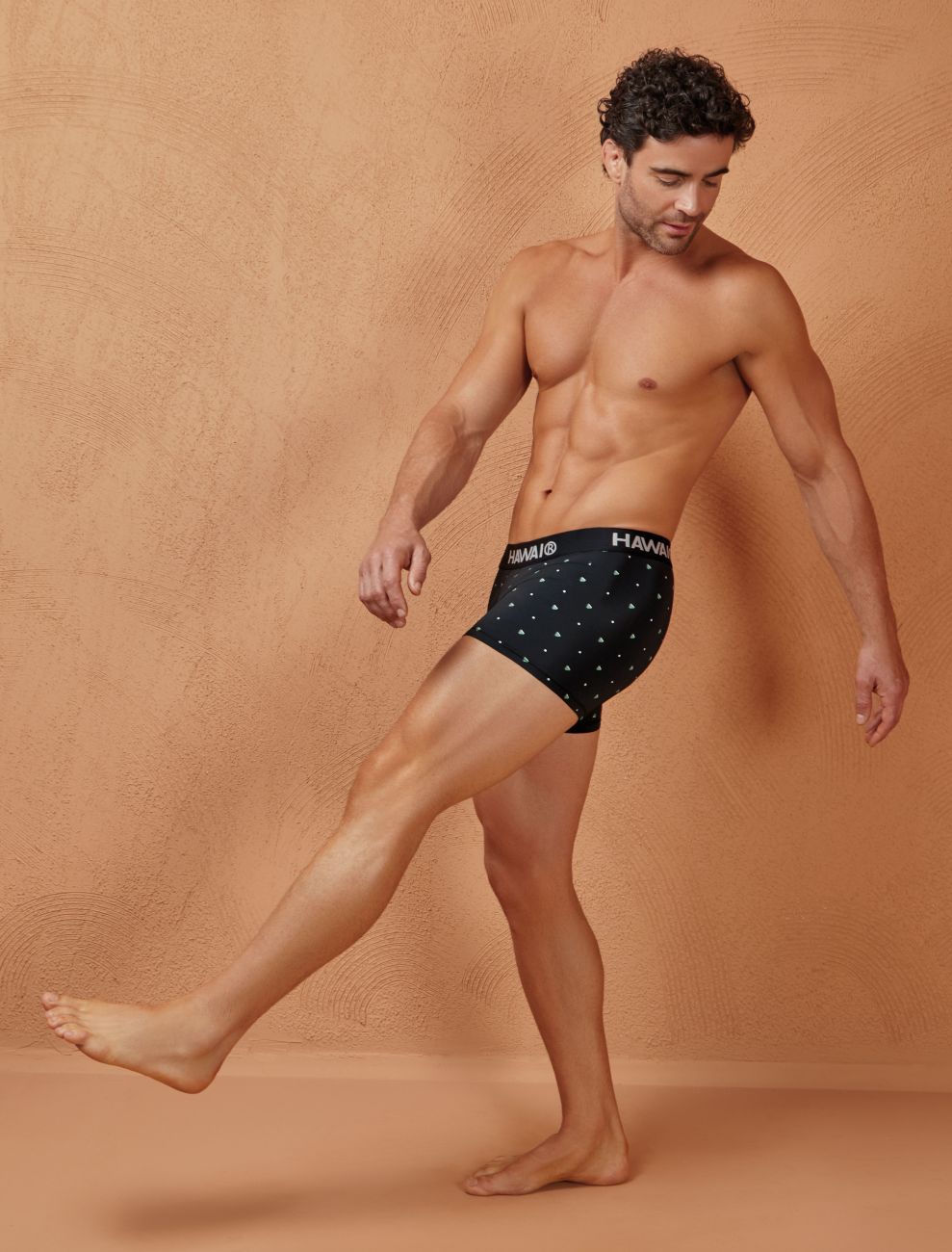 HAWAIR Men's Underwear 42570 Microfiber Trunks Color Black
