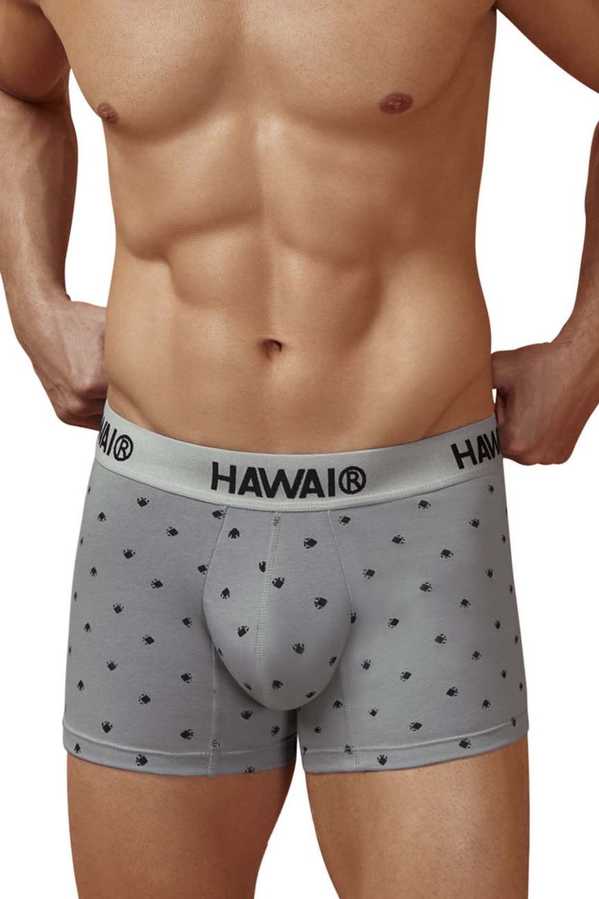 HAWAIR Men's Underwear 42571 Cotton blend Trunks Color Gray