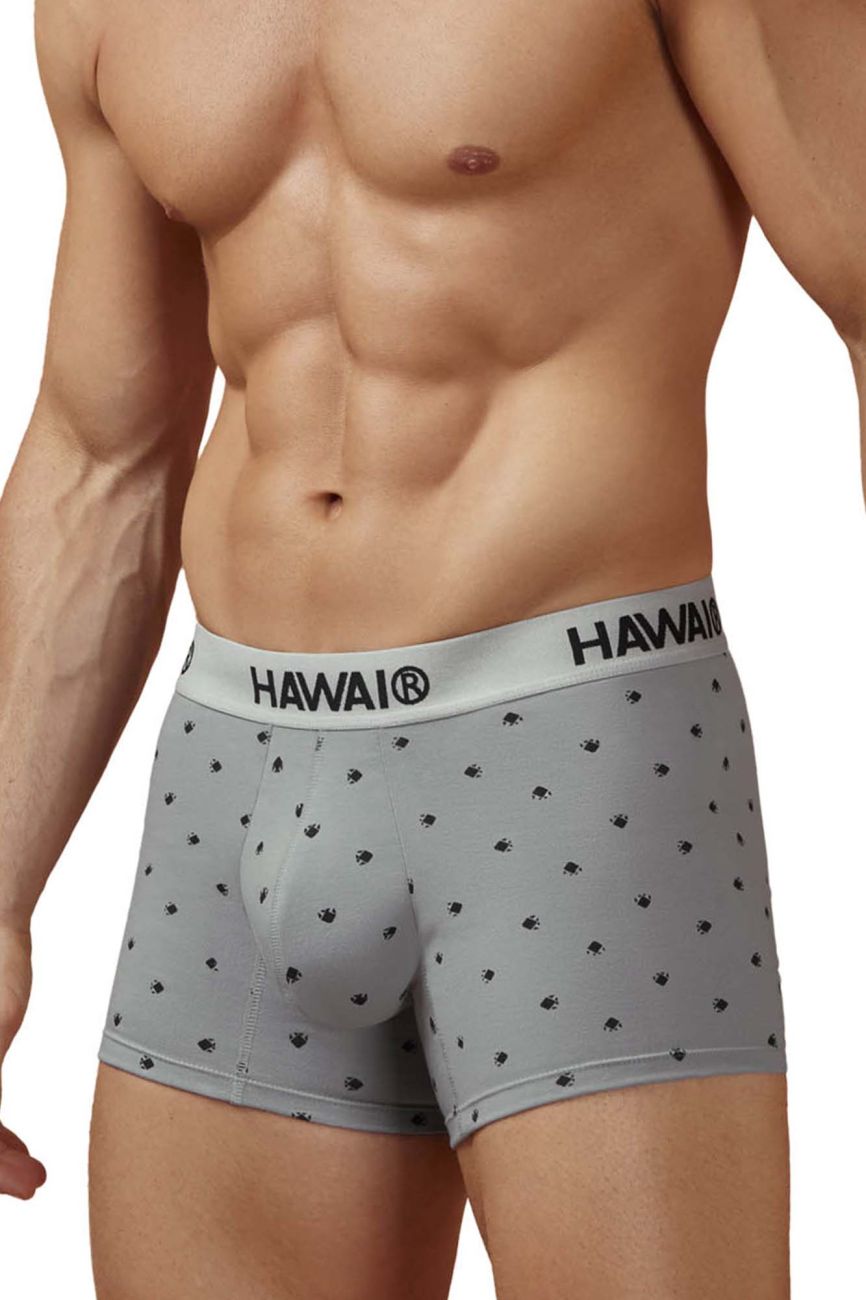 HAWAIR Men's Underwear 42571 Cotton blend Trunks Color Gray