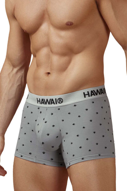 HAWAIR Men's Underwear 42571 Cotton blend Trunks Color Gray