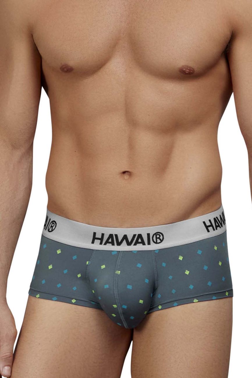HAWAIR Men's Underwear 42580 Microfiber Briefs Color Gray