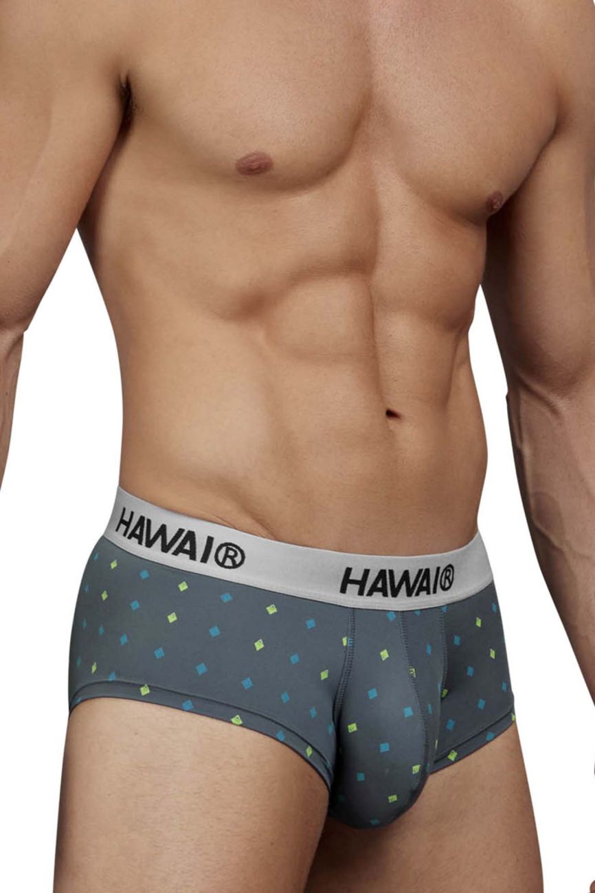 HAWAIR Men's Underwear 42580 Microfiber Briefs Color Gray