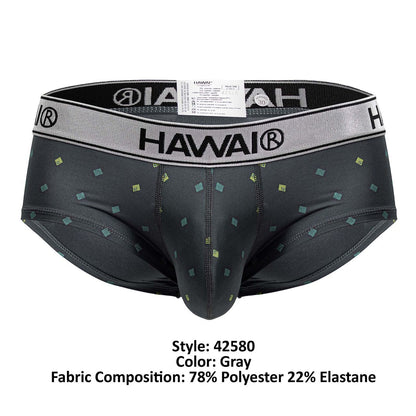 HAWAIR Men's Underwear 42580 Microfiber Briefs Color Gray
