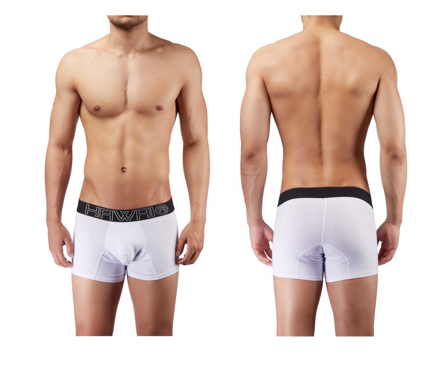 HAWAIR Men's Underwear 41948 Boxer Briefs Color White