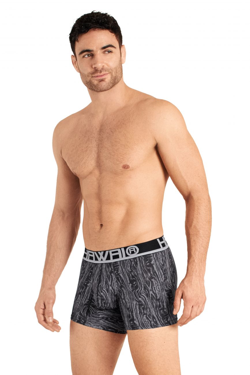 HAWAIR Men's Underwear 42021 Trunks Color Gray