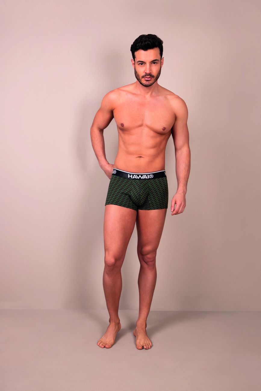 HAWAIR Men's Underwear 42371 Printed Trunks Color Green