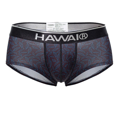 HAWAIR Men's Underwear 42380 Printed Briefs Color Black